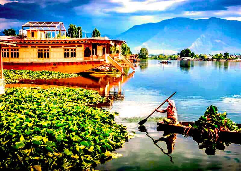 Group Package Started From Srinagar Airport Drop From Srinagar Airport